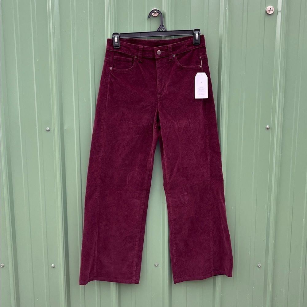 Women's Velvet Wide Leg Pants Size 8